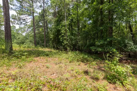 20 Kilbride Dr, Pinehurst, NC 28374 photo 4