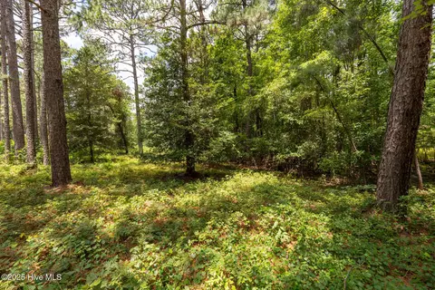 20 Kilbride Dr, Pinehurst, NC 28374 photo 3