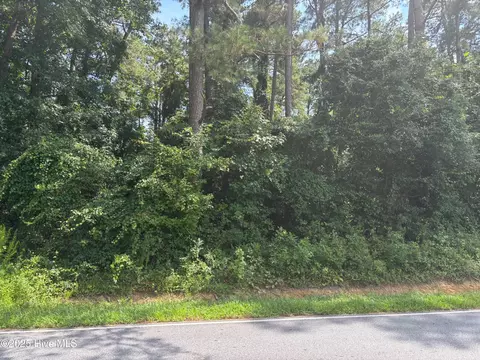 6463 Speights Bridge Rd, Stantonsburg, NC 27883