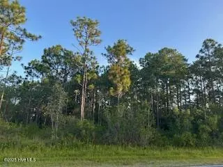 366 Drayton Road, Boiling Spring Lakes, NC 28461