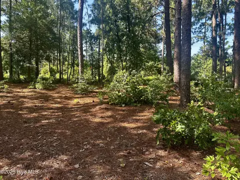 16 Moore Dr, Pinehurst, NC 28374 photo 11