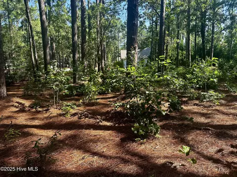 16 Moore Dr, Pinehurst, NC 28374 photo 8