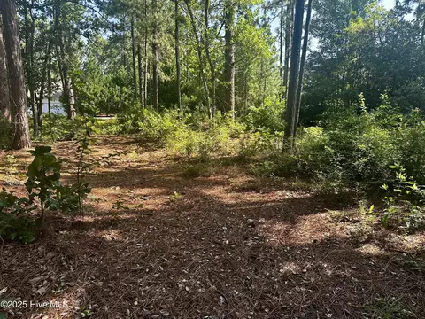 16 Moore Dr, Pinehurst, NC 28374 photo 10