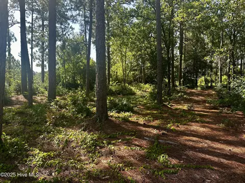 16 Moore Dr, Pinehurst, NC 28374 photo 7