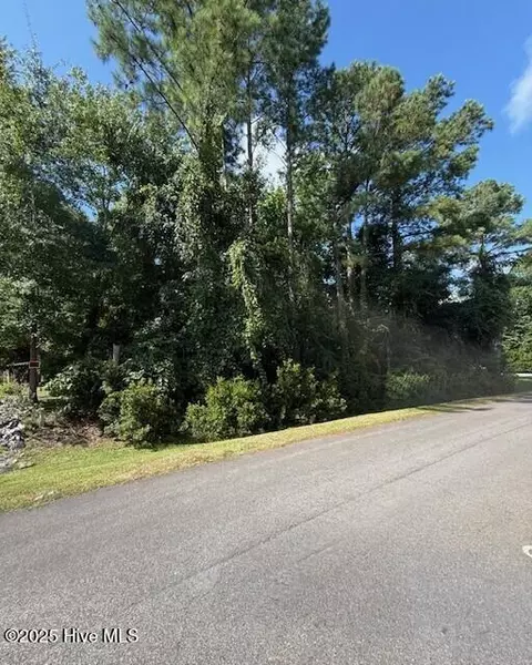 0 Cordgrass Rd, Hampstead, NC 28443 photo 3