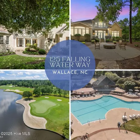 125 Falling Water Way, Wallace, NC 28466
