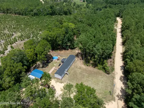 225 Dirt Rd, Hamlet, NC 28345 photo 34