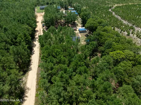 225 Dirt Rd, Hamlet, NC 28345 photo 35