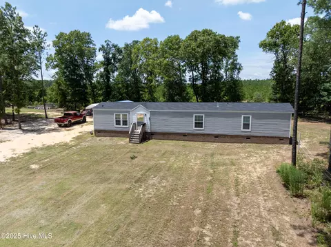225 Dirt Rd, Hamlet, NC 28345 photo 29