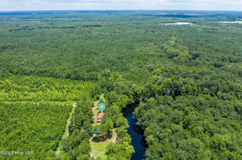 View/Area - 728 Albert Beatty Ln, Harrells, NC 28444 photo 3 of 5