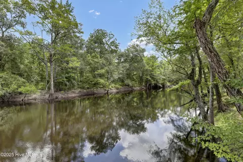 View/Area - 728 Albert Beatty Ln, Harrells, NC 28444 photo 2 of 5