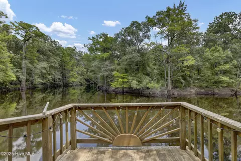 Other - 728 Albert Beatty Ln, Harrells, NC 28444 photo 4 of 13