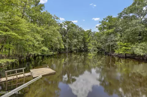 View/Area - 728 Albert Beatty Ln, Harrells, NC 28444 photo 1 of 5