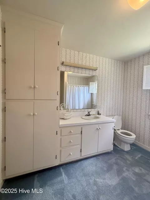 Bath - 901 School Dr, Williamston, NC 27892 photo 8 of 9