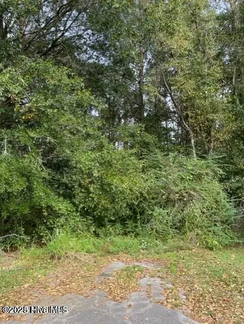 0 Near 715 E 1st Ave, Chadbourn, NC 28431 photo 2