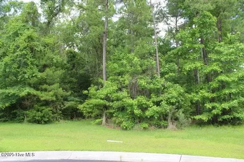 1404 Pindo Ct SE, Bolivia, NC 28422