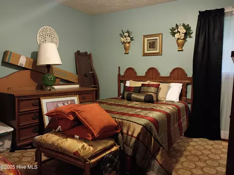 157 E Goodman Rd, Fair Bluff, NC 28439 photo 13