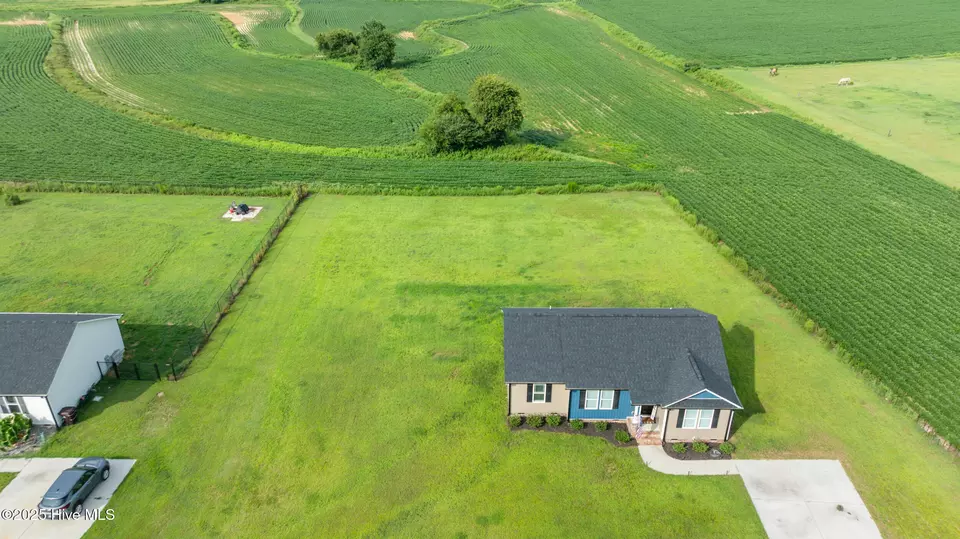 View/Area - 115 Adds Rd, Pikeville, NC 27863 photo 4 of 5
