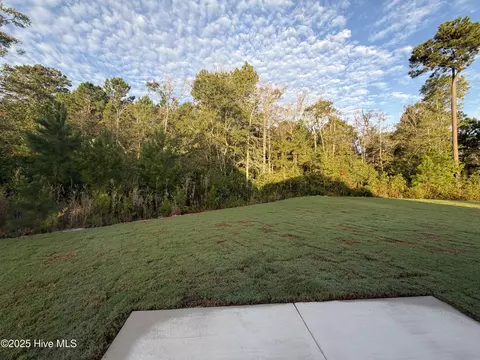 61 N Flicker Mdw, Hampstead, NC 28443 photo 13