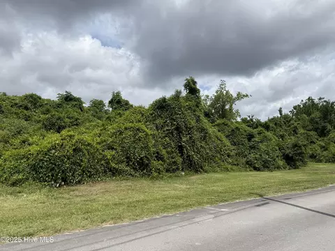 1009 Bloomfield St, New Bern, NC 28560