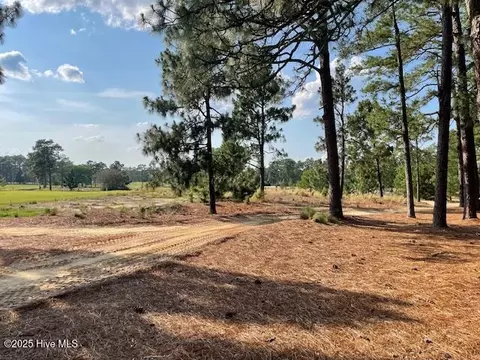 10 Spring Valley Ct, Pinehurst, NC 28374 photo 7