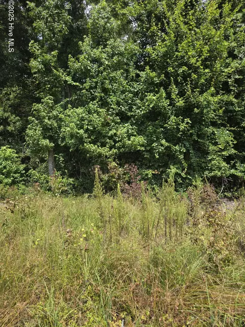 0 Chapman Drive-lots 19 20 Dr, Grifton, NC 28530