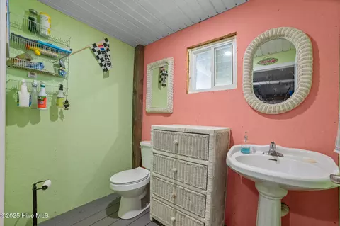 Bath - 86 Blackbird Ln, Chocowinity, NC 27817 photo 4 of 4