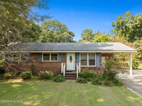 2042 Greene Haynes Rd, Kinston, NC 28504