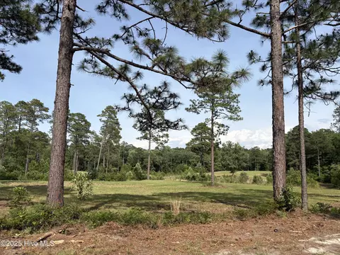 355 Fox Box Rd, Vass, NC 28394