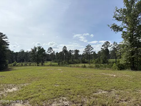 355 Fox Box Rd, Vass, NC 28394 photo 7