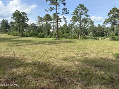 355 Fox Box Rd, Vass, NC 28394 photo 3