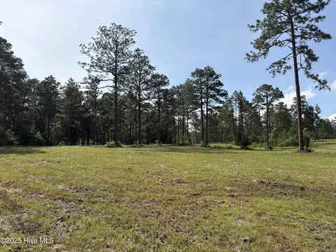 355 Fox Box Rd, Vass, NC 28394 photo 10