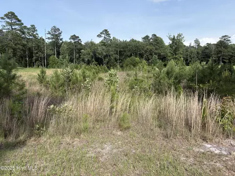 355 Fox Box Rd, Vass, NC 28394 photo 13