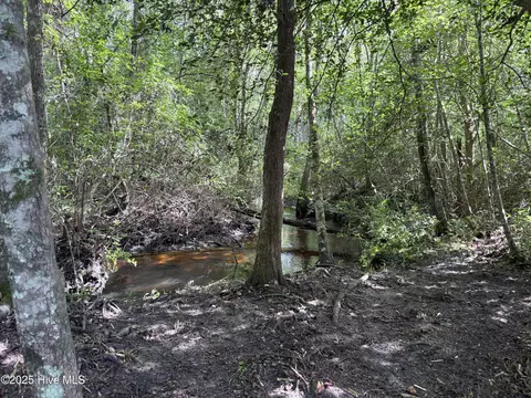 355 Fox Box Rd, Vass, NC 28394 photo 17