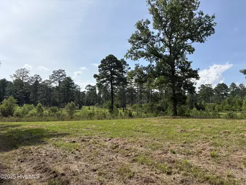 355 Fox Box Rd, Vass, NC 28394 photo 9
