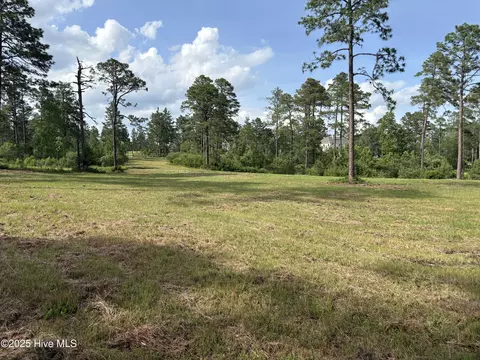 355 Fox Box Rd, Vass, NC 28394 photo 2
