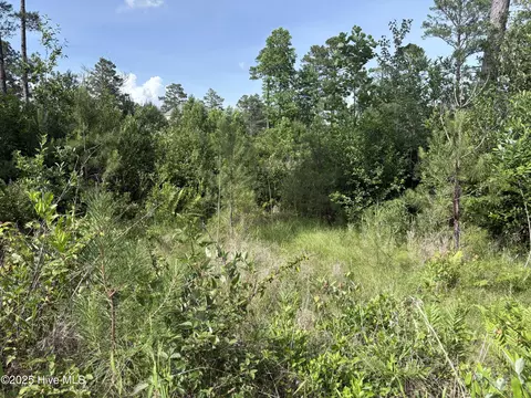 355 Fox Box Rd, Vass, NC 28394 photo 12