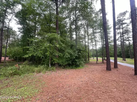 226 Meyer Farm Dr, Pinehurst, NC 28374 photo 5