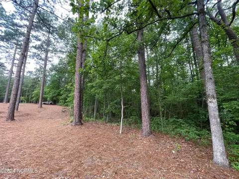 226 Meyer Farm Dr, Pinehurst, NC 28374 photo 4