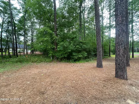 226 Meyer Farm Dr, Pinehurst, NC 28374 photo 6