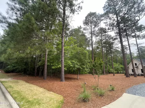 226 Meyer Farm Dr, Pinehurst, NC 28374 photo 3