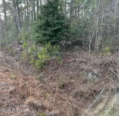 0 Ransey Ln, Hampstead, NC 28443 photo 3