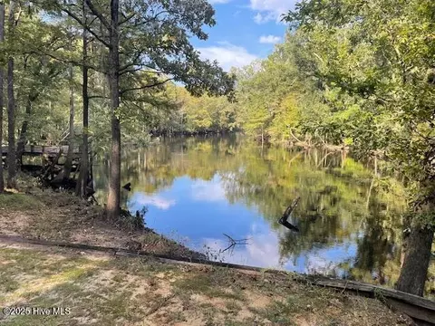 View/Area - 301 Natures Way, Ivanhoe, NC 28447 photo 1 of 1