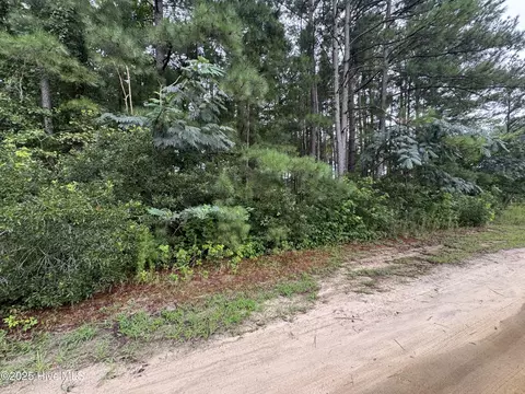 24 Sapling Ln, Cameron, NC 28326 photo 2