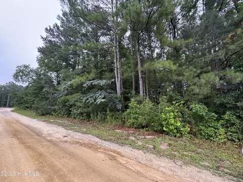 24 Sapling Ln, Cameron, NC 28326