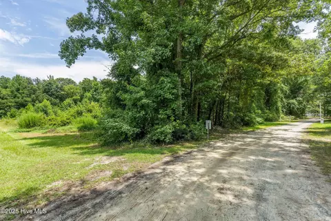 12 Ac Turtle Hill Trl, Willard, NC 28478 photo 19