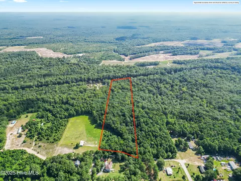 12 Ac Turtle Hill Trl, Willard, NC 28478 photo 14