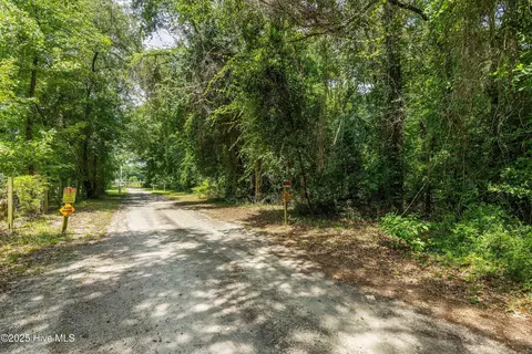 12 Ac Turtle Hill Trl, Willard, NC 28478 photo 16