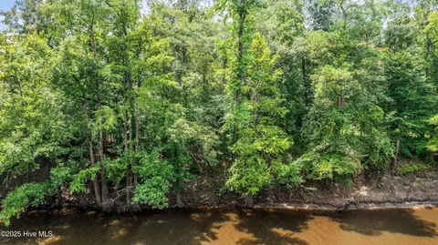 12 Ac Turtle Hill Trl, Willard, NC 28478 photo 8