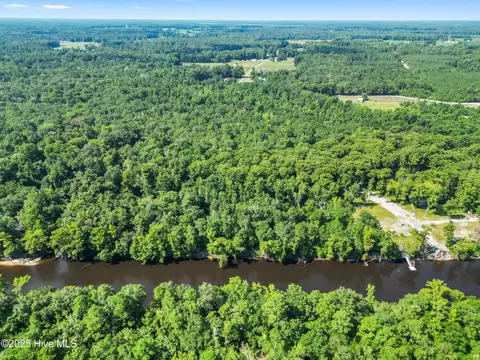 12 Ac Turtle Hill Trl, Willard, NC 28478 photo 5